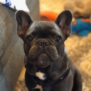 Meet your Posher, Ian